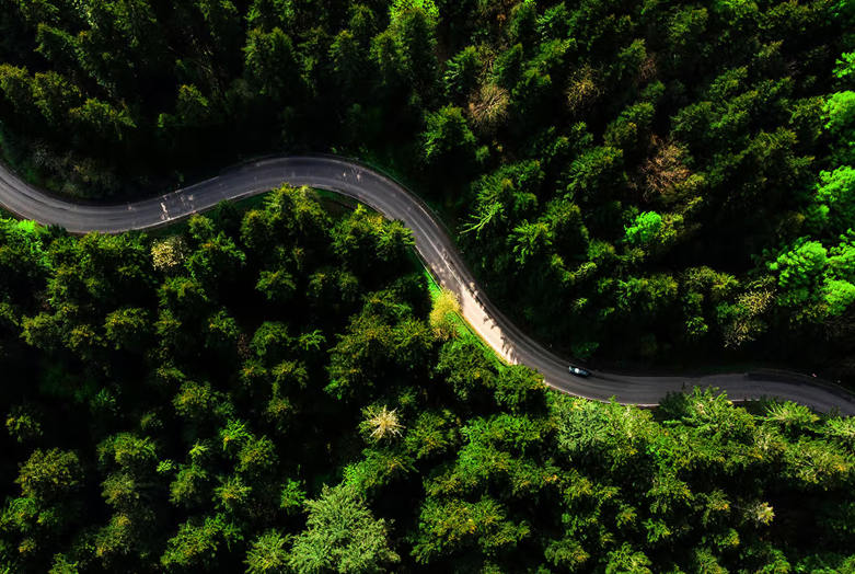 Shanghai Baozhongbao Adhesive Products Co., Ltd.